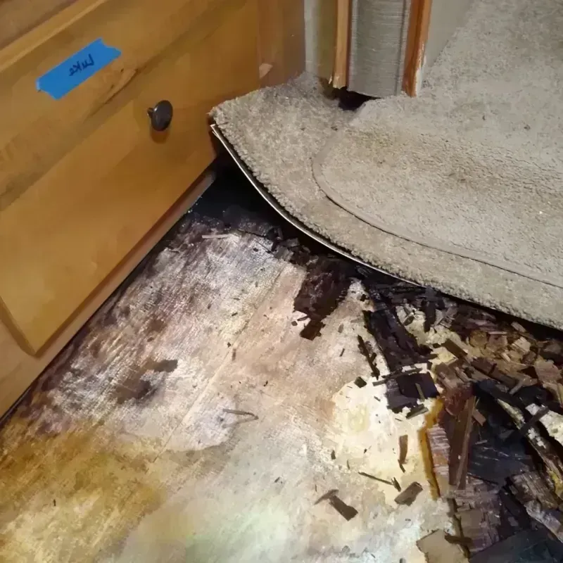 Wood Floor Water Damage in Marlboro County, SC